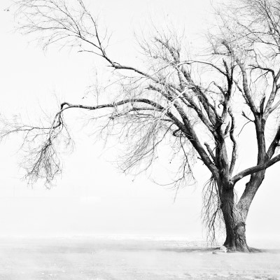 1920 x 1080 HD Wallpapers 2584